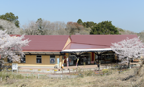 空の駅 さくら館